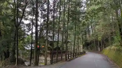 横倉神社の自然
