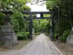 春日部八幡神社の鳥居