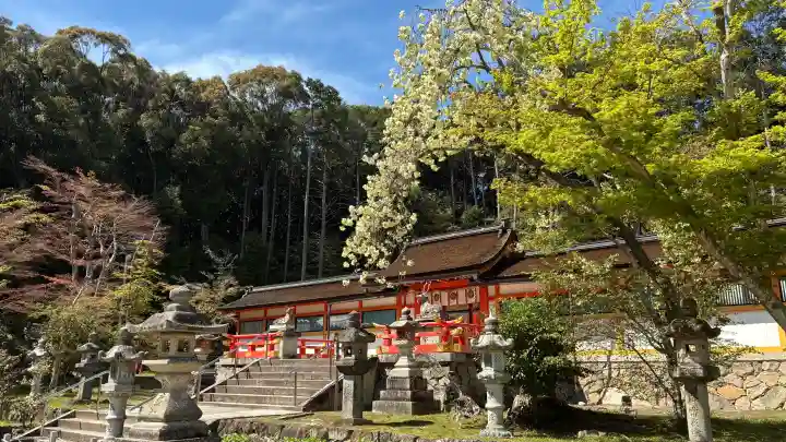 大原野神社の{uncategorized: "未分類", other: "その他", undefined: "問題あり", building: "その他建物", grave: "お墓", sacred_gate: "鳥居", guardian: "狛犬", statue: "像", buddha: "仏像", history: "歴史", nature: "自然", garden: "庭園", animal: "動物", pagoda: "塔", temizu: "手水舎", mountain_gate: "山門・神門", sanctuary: "本殿・本堂", subordinate: "末社・摂社", art: "芸術", scenery: "景色", jizo: "地蔵", ema: "絵馬", goshuin: "御朱印", omikuji: "おみくじ", items: "授与品その他", amulet: "お守り", goshuincho: "御朱印帳", eats: "食事", festival: "お祭り", votive_dance: "神楽", shichigosan: "七五三参", wedding: "結婚式", experience: "体験その他", initially: "初詣", around: "周辺", anti_infection: "感染症対策"}