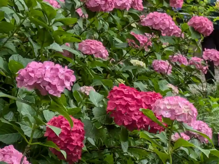 二本松寺(茨城県)