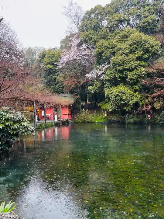 富士山本宮浅間大社の{uncategorized: "未分類", other: "その他", undefined: "問題あり", building: "その他建物", grave: "お墓", sacred_gate: "鳥居", guardian: "狛犬", statue: "像", buddha: "仏像", history: "歴史", nature: "自然", garden: "庭園", animal: "動物", pagoda: "塔", temizu: "手水舎", mountain_gate: "山門・神門", sanctuary: "本殿・本堂", subordinate: "末社・摂社", art: "芸術", scenery: "景色", jizo: "地蔵", ema: "絵馬", goshuin: "御朱印", omikuji: "おみくじ", items: "授与品その他", amulet: "お守り", goshuincho: "御朱印帳", eats: "食事", festival: "お祭り", votive_dance: "神楽", shichigosan: "七五三参", wedding: "結婚式", experience: "体験その他", initially: "初詣", around: "周辺", anti_infection: "感染症対策"}