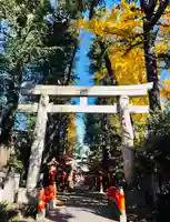 馬橋稲荷神社の鳥居