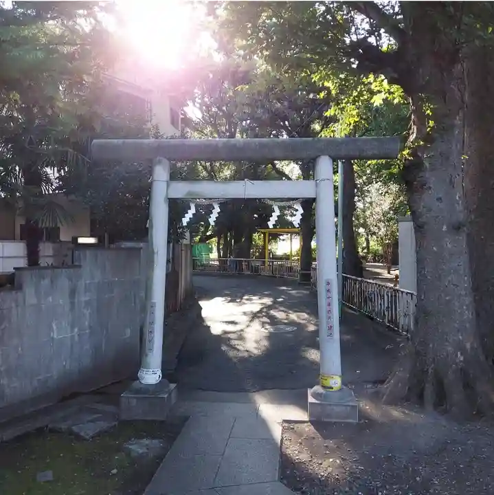 天祖神社(上目黒天祖神社)の鳥居