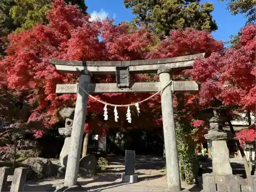 渋川八幡宮(群馬県)