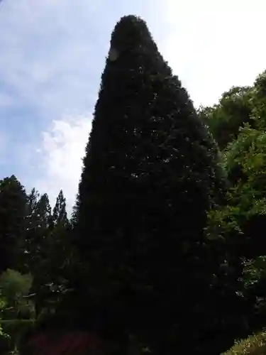 安楽寺(長野県)