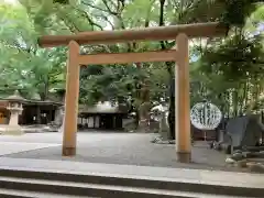 乃木神社の鳥居