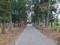 小井川賀茂神社(長野県)