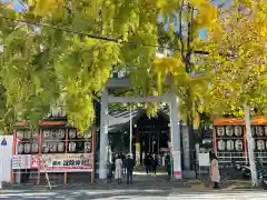 波除神社（波除稲荷神社）の鳥居