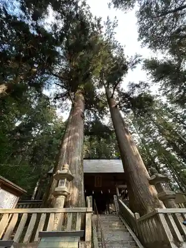 恵那神社(岐阜県)