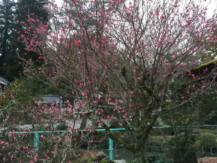 須我神社(島根県)