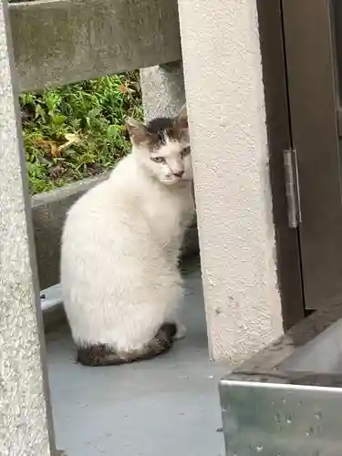 護所神社(静岡県)
