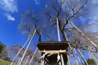 瀧桜神明宮の本殿・本堂