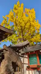 護王神社(京都府)