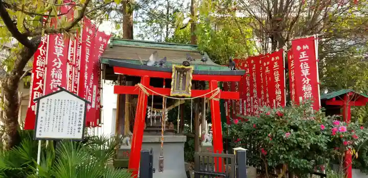 草分稲荷神社の鳥居