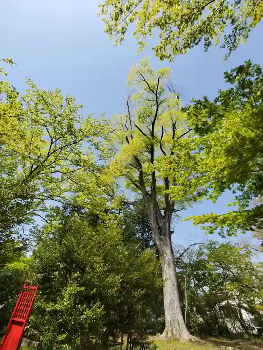 神炊館神社 ⁂奥州須賀川総鎮守⁂(福島県)