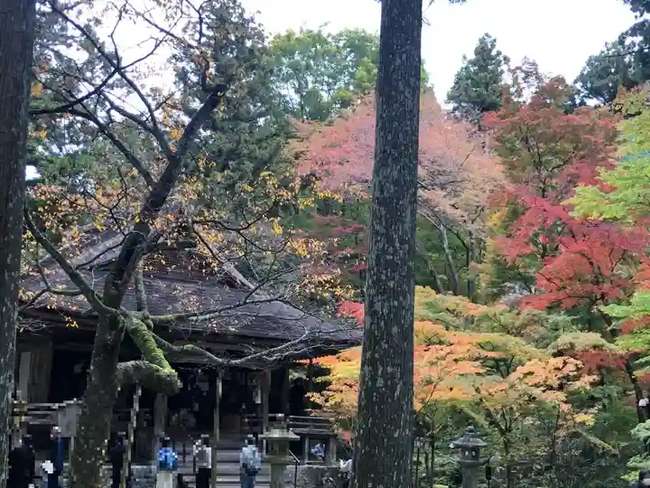 三千院門跡(京都府)