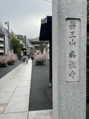 眞性寺の{uncategorized: "未分類", other: "その他", undefined: "問題あり", building: "その他建物", grave: "お墓", sacred_gate: "鳥居", guardian: "狛犬", statue: "像", buddha: "仏像", history: "歴史", nature: "自然", garden: "庭園", animal: "動物", pagoda: "塔", temizu: "手水舎", mountain_gate: "山門・神門", sanctuary: "本殿・本堂", subordinate: "末社・摂社", art: "芸術", scenery: "景色", jizo: "地蔵", ema: "絵馬", goshuin: "御朱印", omikuji: "おみくじ", items: "授与品その他", amulet: "お守り", goshuincho: "御朱印帳", eats: "食事", festival: "お祭り", votive_dance: "神楽", shichigosan: "七五三参", wedding: "結婚式", experience: "体験その他", initially: "初詣", around: "周辺", anti_infection: "感染症対策"}