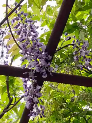 安井金比羅宮(京都府)