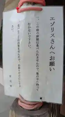 上士幌神社の動物
