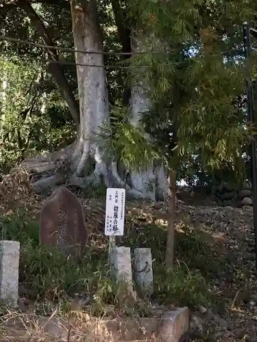 三芳野神社の自然