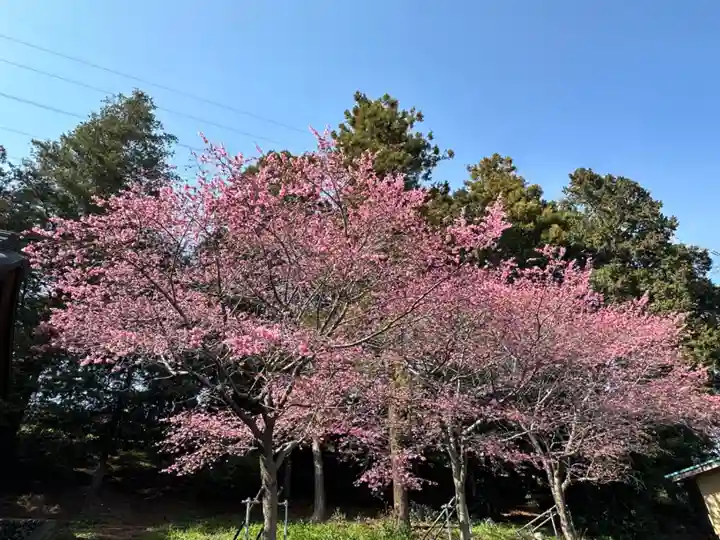 八幡神社(神奈川県)