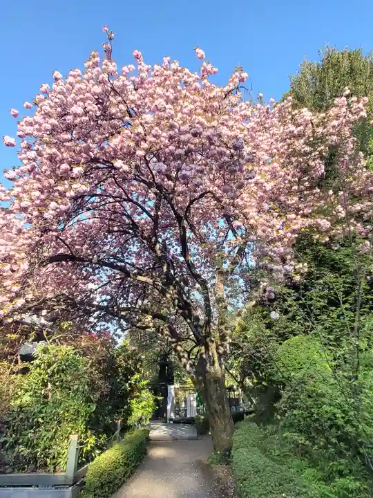 冠稲荷神社の自然