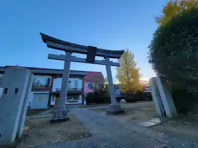 西新井氷川神社の鳥居
