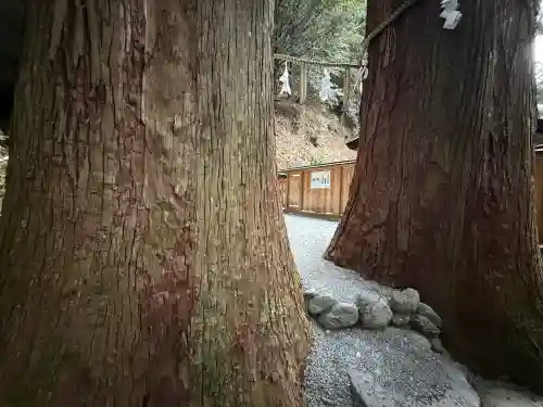 丹生川上神社（中社）(奈良県)