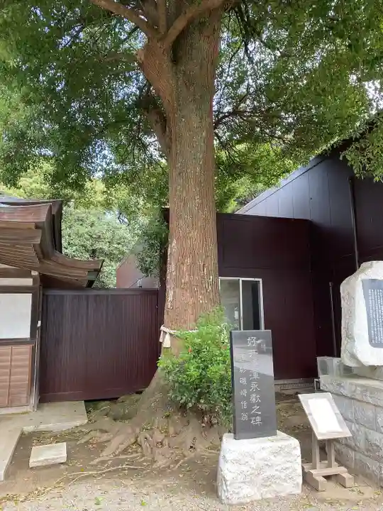 酒列磯前神社(茨城県)