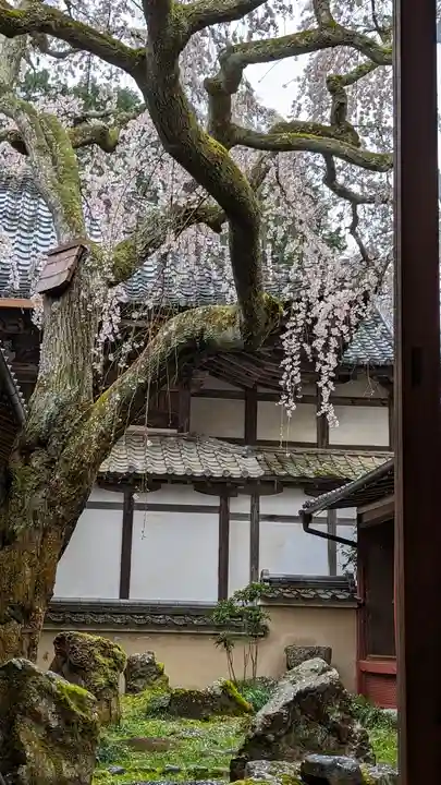 十輪寺(京都府)