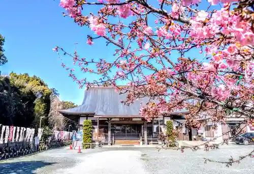 祇園山 徳城寺の本殿・本堂