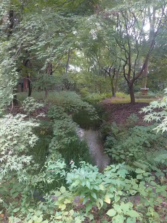 賀茂御祖神社(下鴨神社)(京都府)