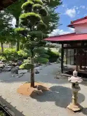 祥龍山 金剛寺の庭園