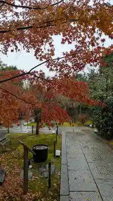 勝林寺(京都府)