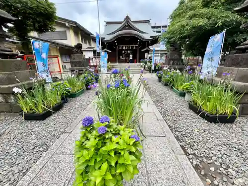 磐井神社の庭園