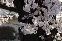 静御前堂の自然