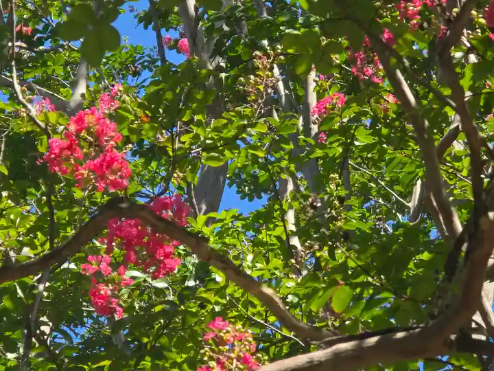 瑞春院(京都府)