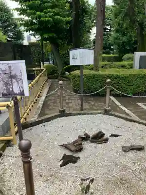 中野沼袋氷川神社(東京都)