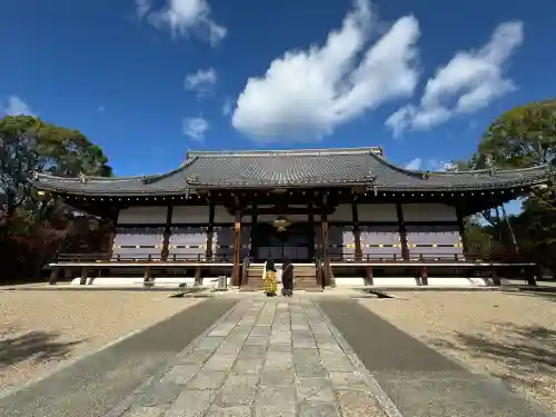 仁和寺の{uncategorized: "未分類", other: "その他", undefined: "問題あり", building: "その他建物", grave: "お墓", sacred_gate: "鳥居", guardian: "狛犬", statue: "像", buddha: "仏像", history: "歴史", nature: "自然", garden: "庭園", animal: "動物", pagoda: "塔", temizu: "手水舎", mountain_gate: "山門・神門", sanctuary: "本殿・本堂", subordinate: "末社・摂社", art: "芸術", scenery: "景色", jizo: "地蔵", ema: "絵馬", goshuin: "御朱印", omikuji: "おみくじ", items: "授与品その他", amulet: "お守り", goshuincho: "御朱印帳", eats: "食事", festival: "お祭り", votive_dance: "神楽", shichigosan: "七五三参", wedding: "結婚式", experience: "体験その他", initially: "初詣", around: "周辺", anti_infection: "感染症対策"}