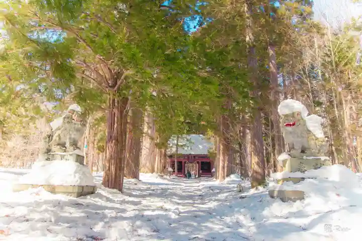 戸隠神社奥社(長野県)