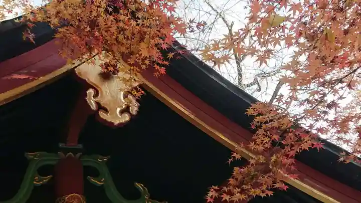 冠稲荷神社の自然