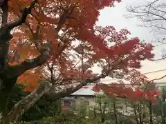 法蔵禅寺の自然