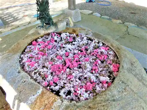 立志神社の手水舎