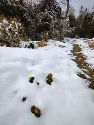 関場神社(福島県)