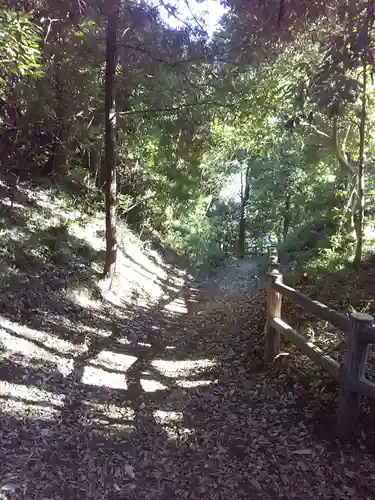 梅宮神社の周辺