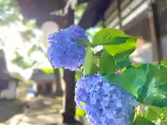 白鳥神社の自然