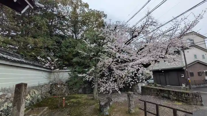 隨心院(随心院)(京都府)