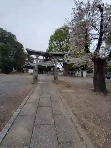 諏訪神社の鳥居