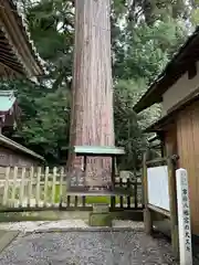 事任八幡宮(静岡県)