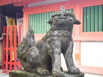 住吉神社の狛犬